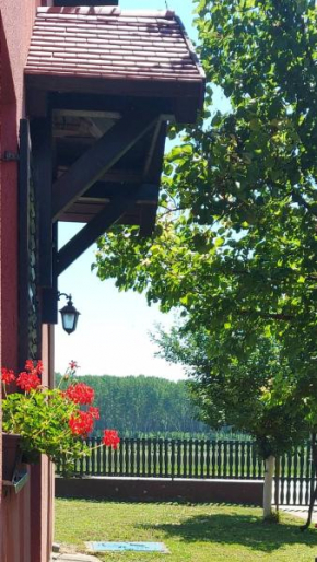 Hotels in Dalj